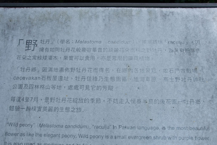 Metal sign with Chinese that explains about the local Wild Peony flower