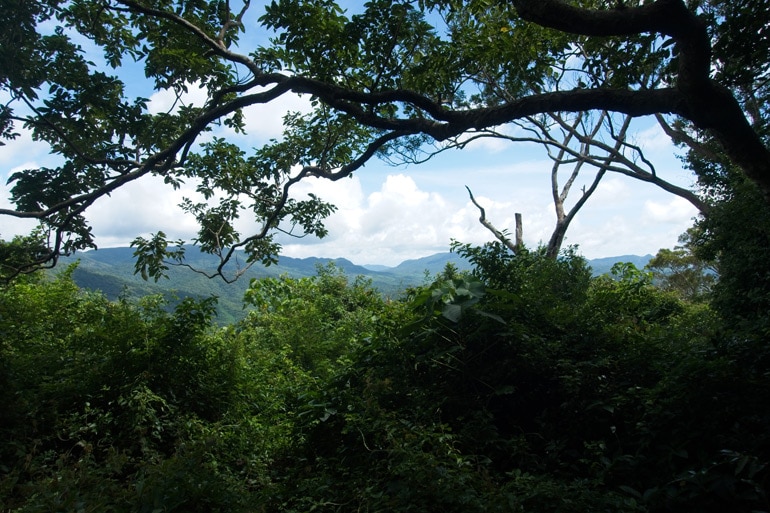 View from the 門山 - 虱母山- ShiMenShan Peak - Trees in foreground - mountains beyond