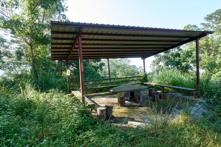 Old structure in halfway decent shape - table and chairs under metal roof - tall grass around structure