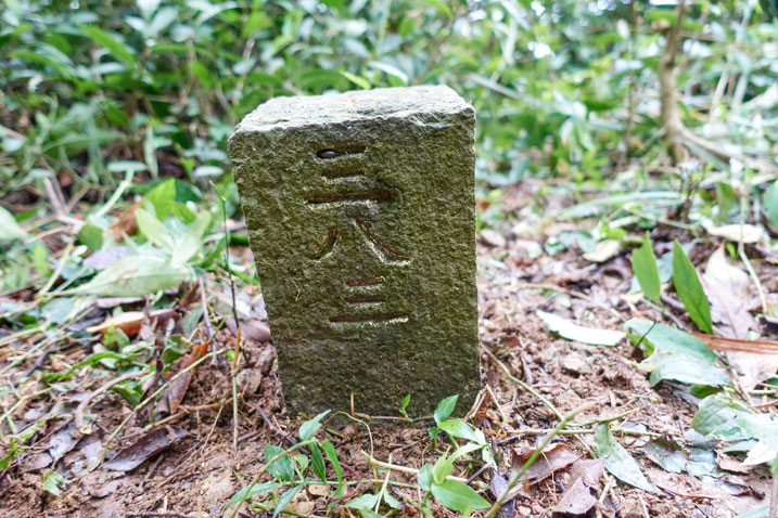 PenMaoLiShan NanFeng - 盆貿里山南峰 peak marker - Chinese characters saying "383"