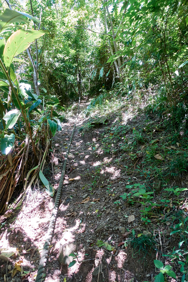 Somewhat steep trail with a thick rope in center of trail - grass and trees on either side