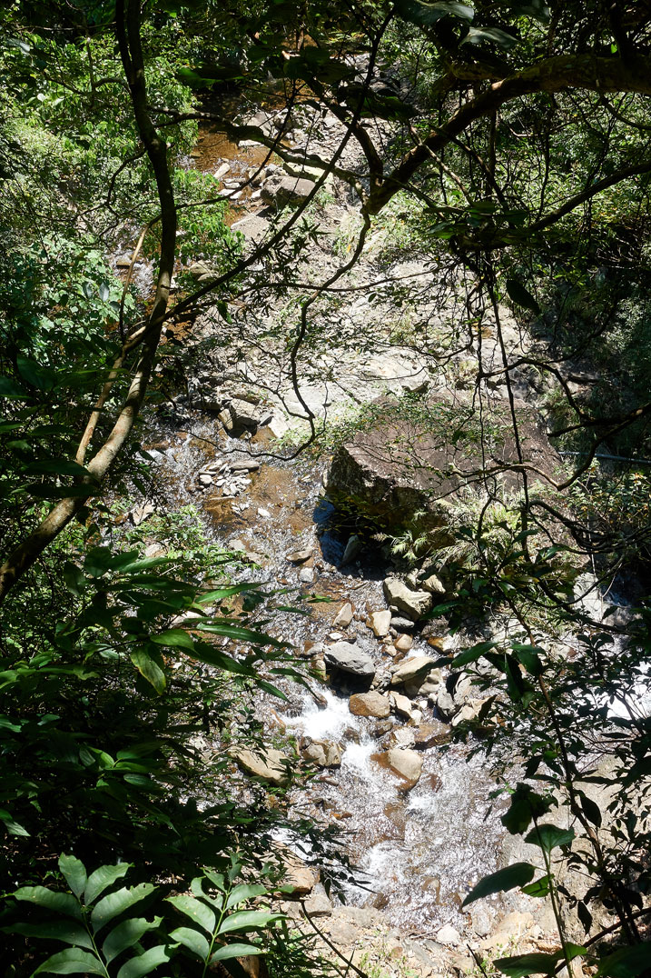Rocky stream viewed from above - trees around creating a tunnel affect when viewed
