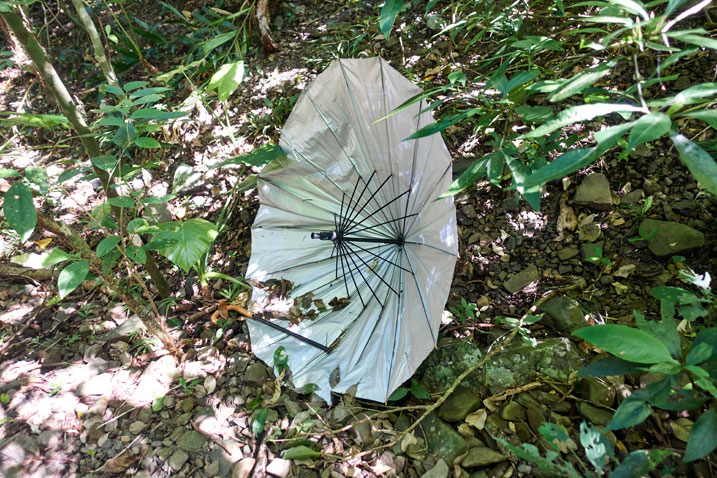 Broken umbrella in the brush