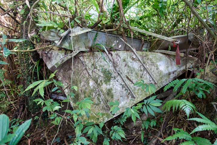 smashed metal structure - trees and plants around