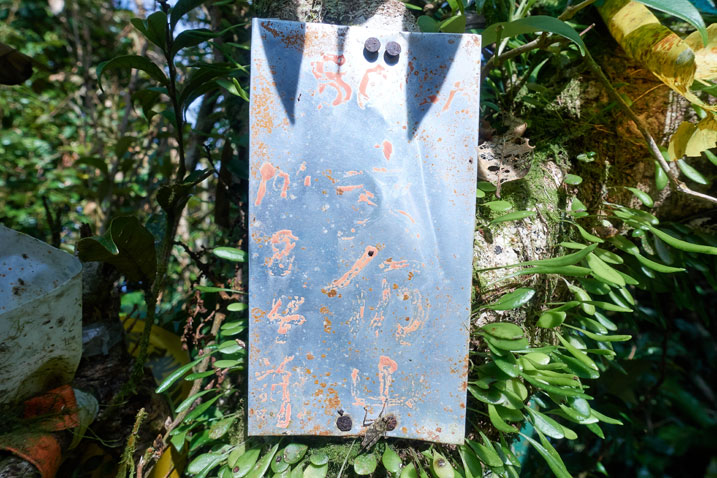 Faded metal sign nailed to a tree - words can't be read