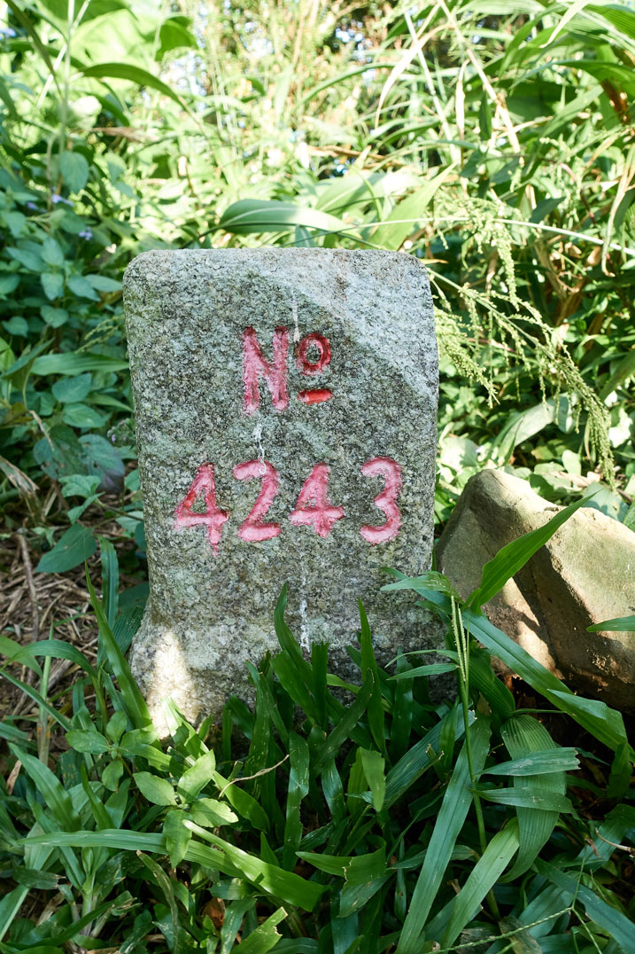 NuRengShan - 女仍山 triangulation marker - No 4243