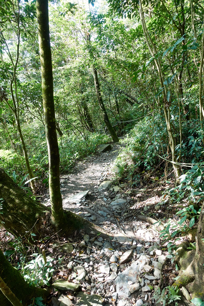 Wide trail with rope on one side