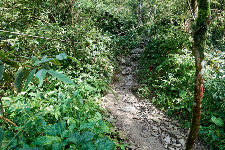Rocky trail with rope to aid hikers