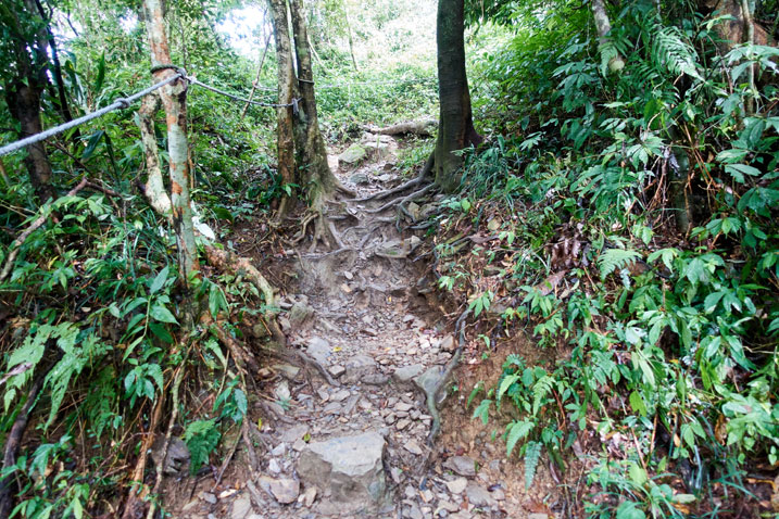 Rocky trail going up - trees on either side