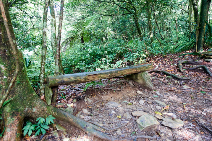 Bench made from mountain tree next to trail