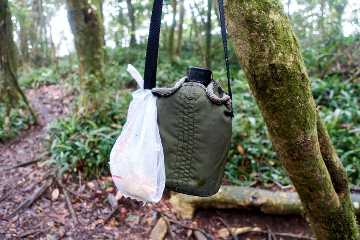 Canteen and someone's lunch hanging from a tree in the forest