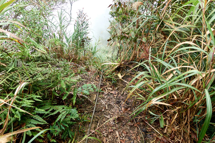 Narrow trail disappearing at edge of mountain - single rope over the side