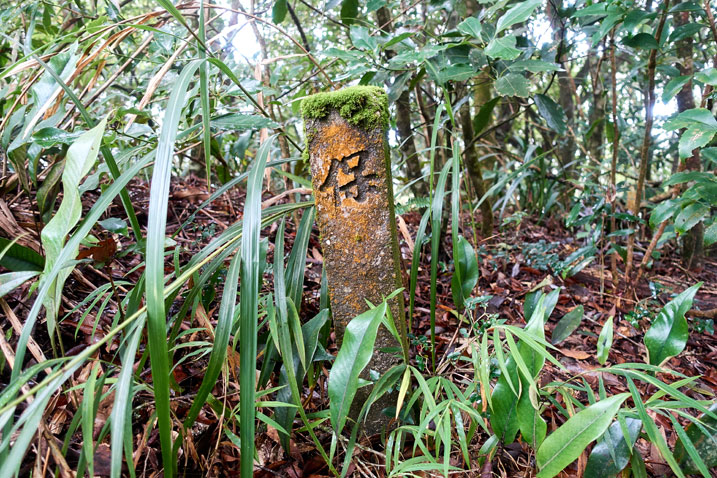 Stone marker with 保 written on it
