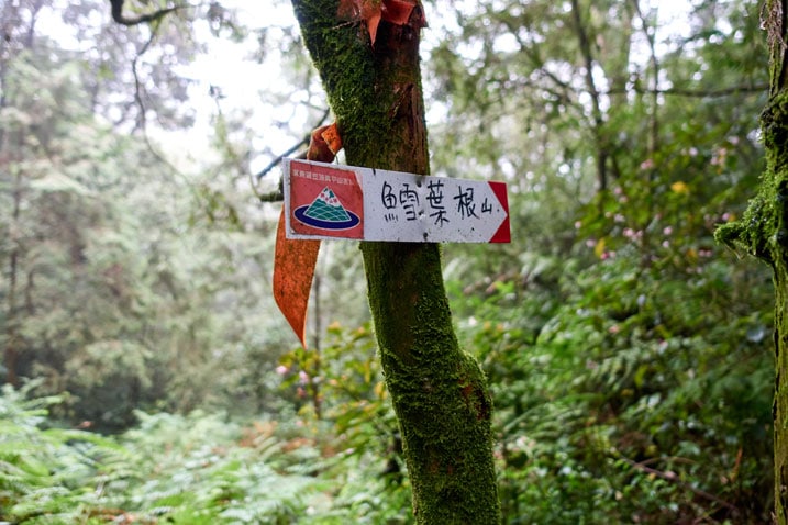 Trail ribbon and sign attached to a tree