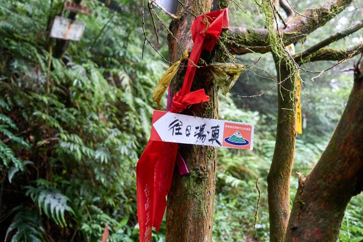Trail ribbons and a sign attached to a tree