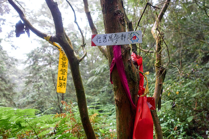 Trail ribbons and a sign attached to a couple trees