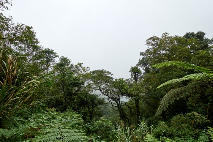 Looking out from side of mountain - foggy