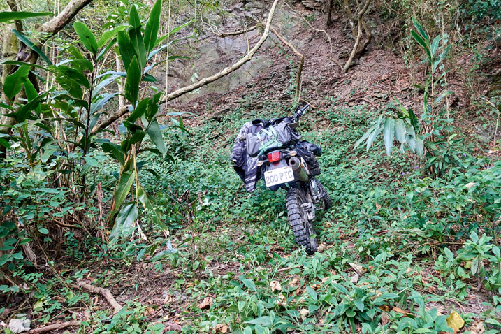 Motorcycle parked next to jungle mountainside