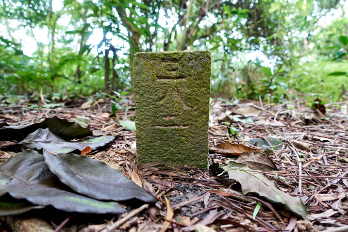 Triangulation stone