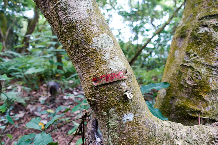 Small red placard nailed to a tree