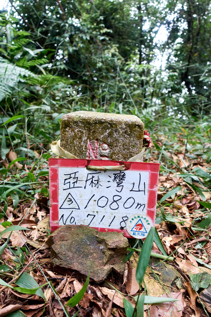 Triangulation stone with sign in front of it
