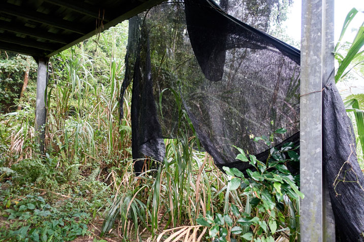 Black netting hanging from house