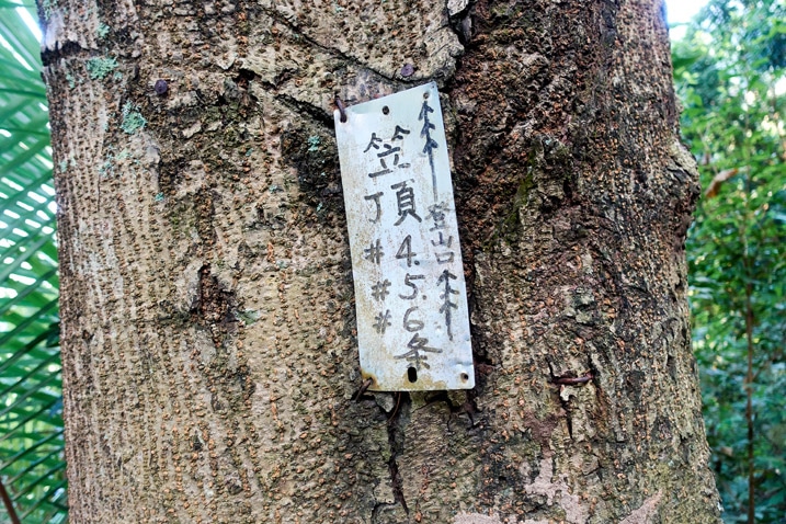 Small sign attached to a tree