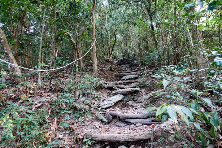 Mountain trail with makeshift log stairs - rope on the left
