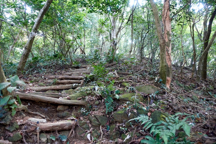 Steep mountain trail with logs as steps