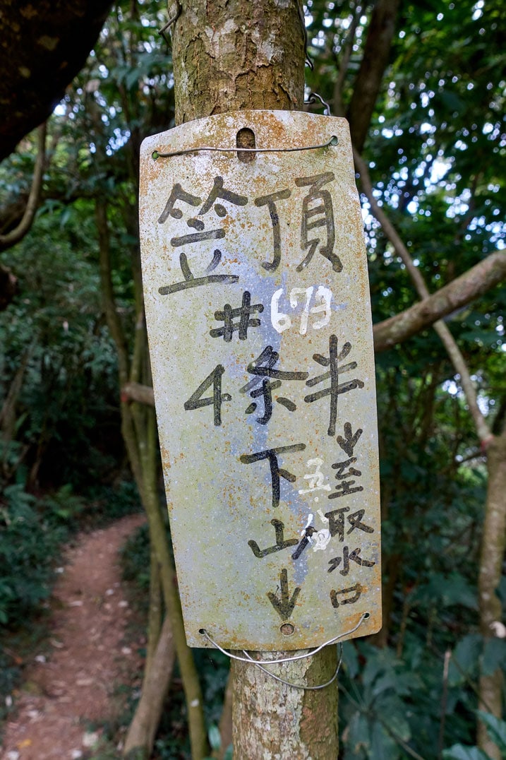 Sign with Chinese attached to a tree