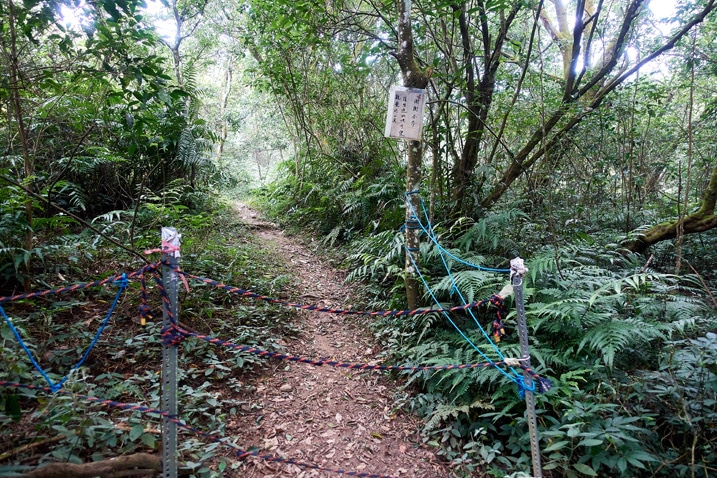 Ropes strung up to block a trail
