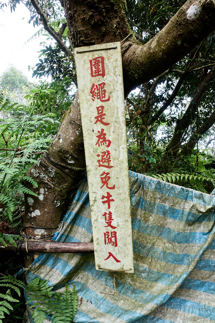 White sign in Chinese attached to tree