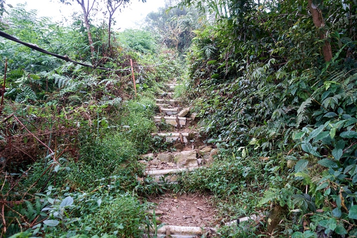 Trail going up a mountain with stairs