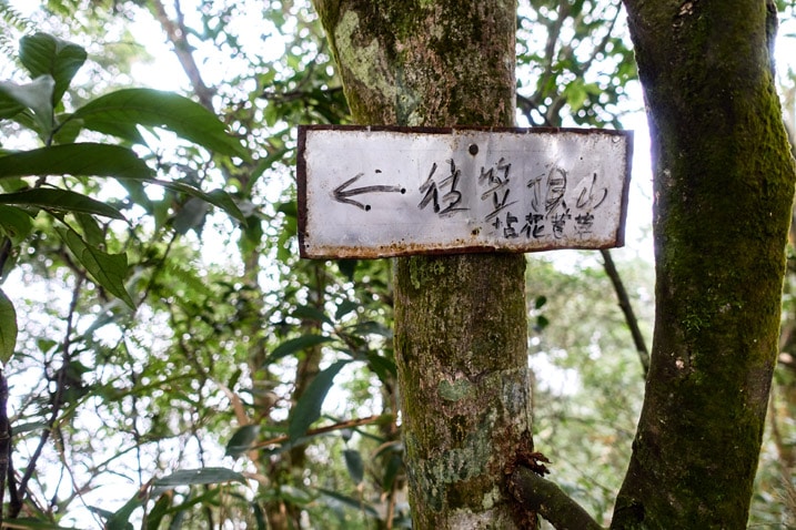 Metal sign with Chinese writing attached to a tree