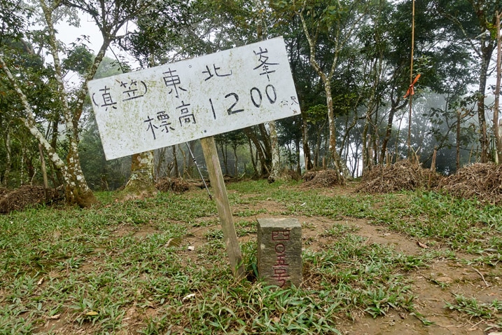 真笠山東北峰 triangulation stone and sign