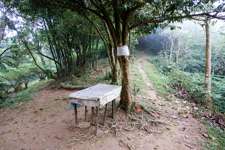 Table next to tree - tree has sign attached - trail goes off to the right of the tree
