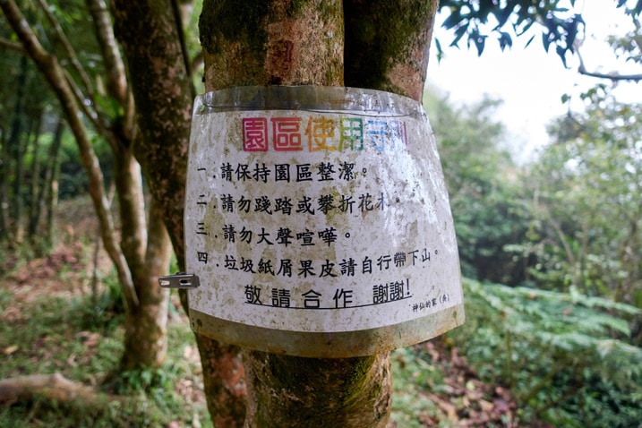 Sign in Chinese attached to a tree