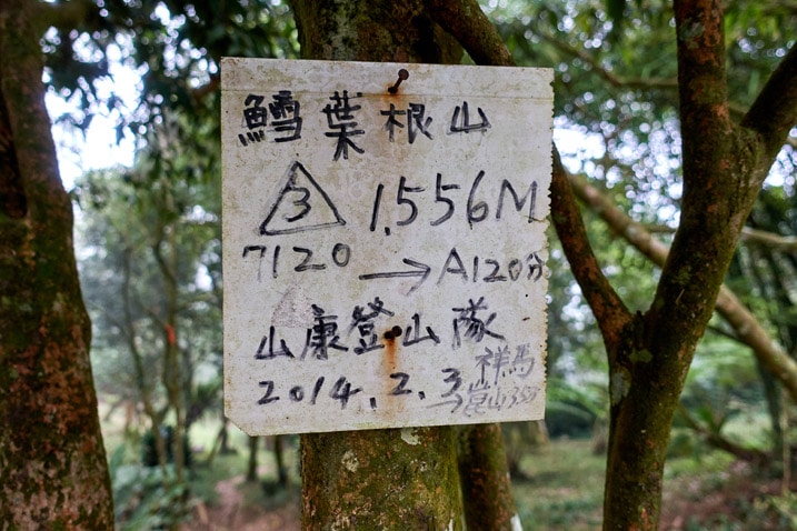 Sign in Chinese attached to a tree