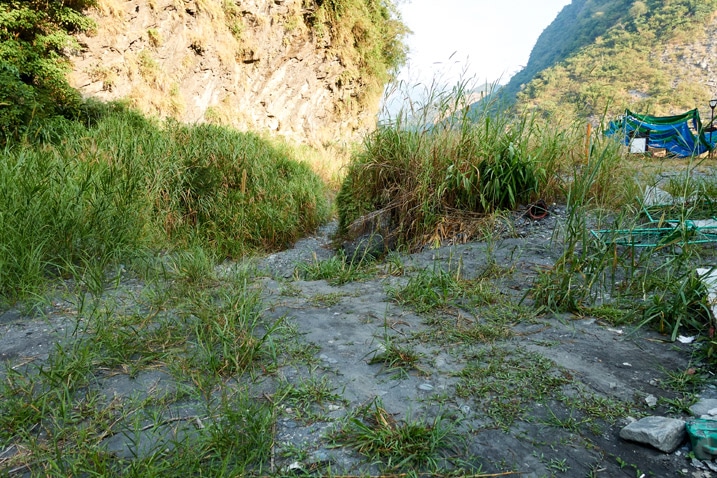 Rocky and tall grass trail - ZuMuShan 足母山 
