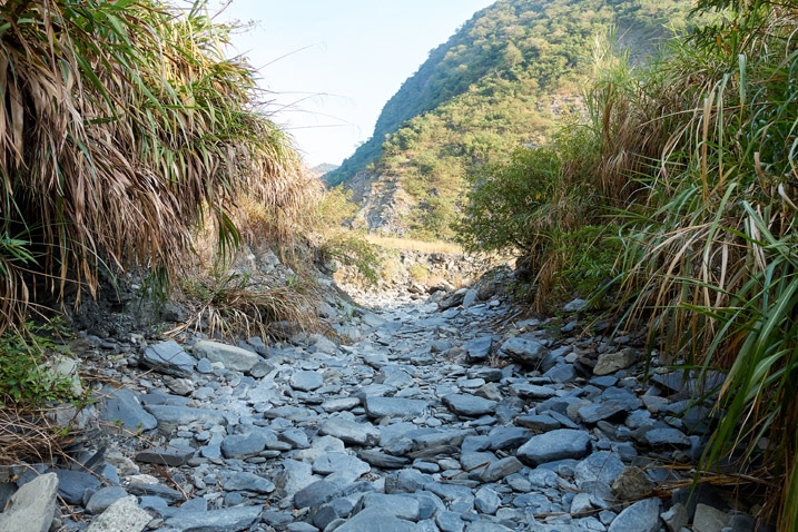Dry riverbed with tall grass on either side - ZuMuShan 足母山 