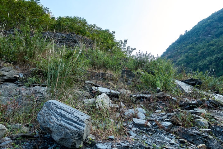 Riverbed bank - rocky and overgrown - ZuMuShan 足母山