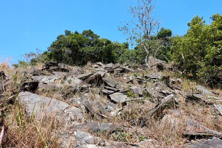 Looking up mountain - loose rocks and trees at top - ZuMuShan 足母山 trail