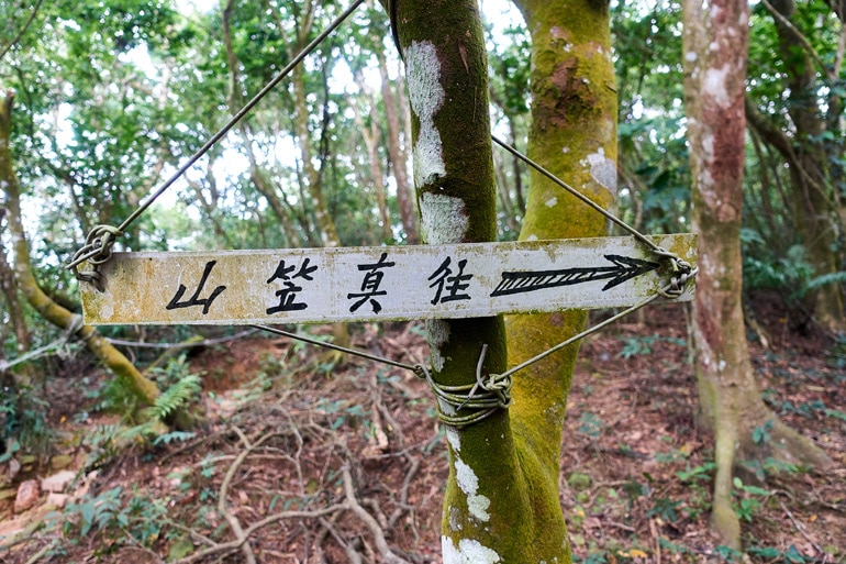 Sign attached to tree