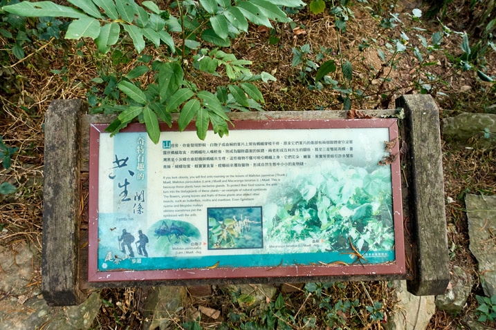 Looking down at a signboard - WeiLiaoShan Hike – 尾寮山