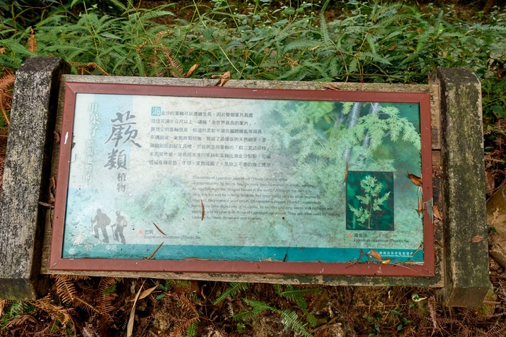 Large sign next to trail - WeiLiaoShan Hike – 尾寮山