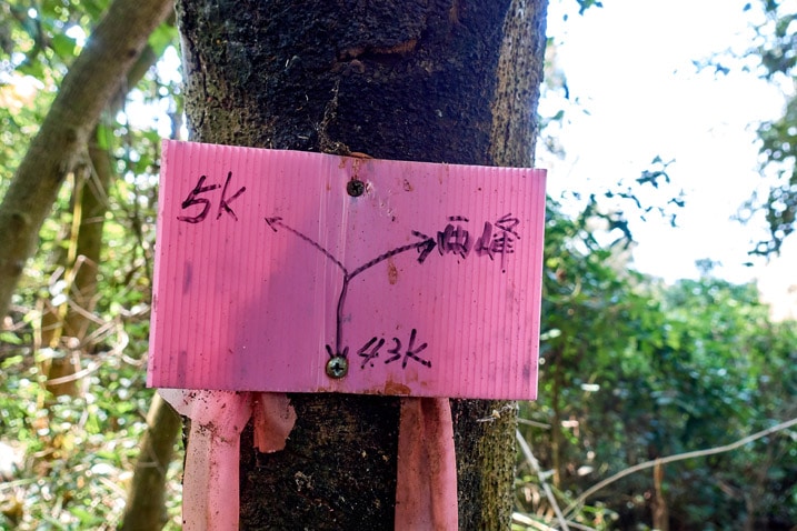A pink sign attached to a tree - WeiLiaoShan Hike – 尾寮山