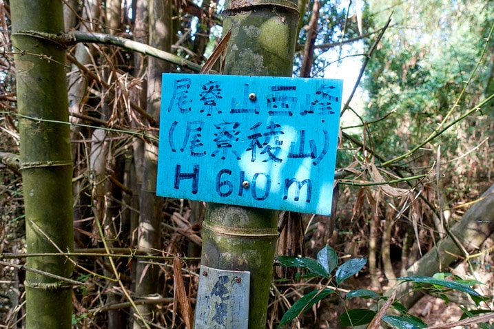 Blue sign attached to a bamboo tree - WeiLiaoShan West peak – 尾寮山西峰
