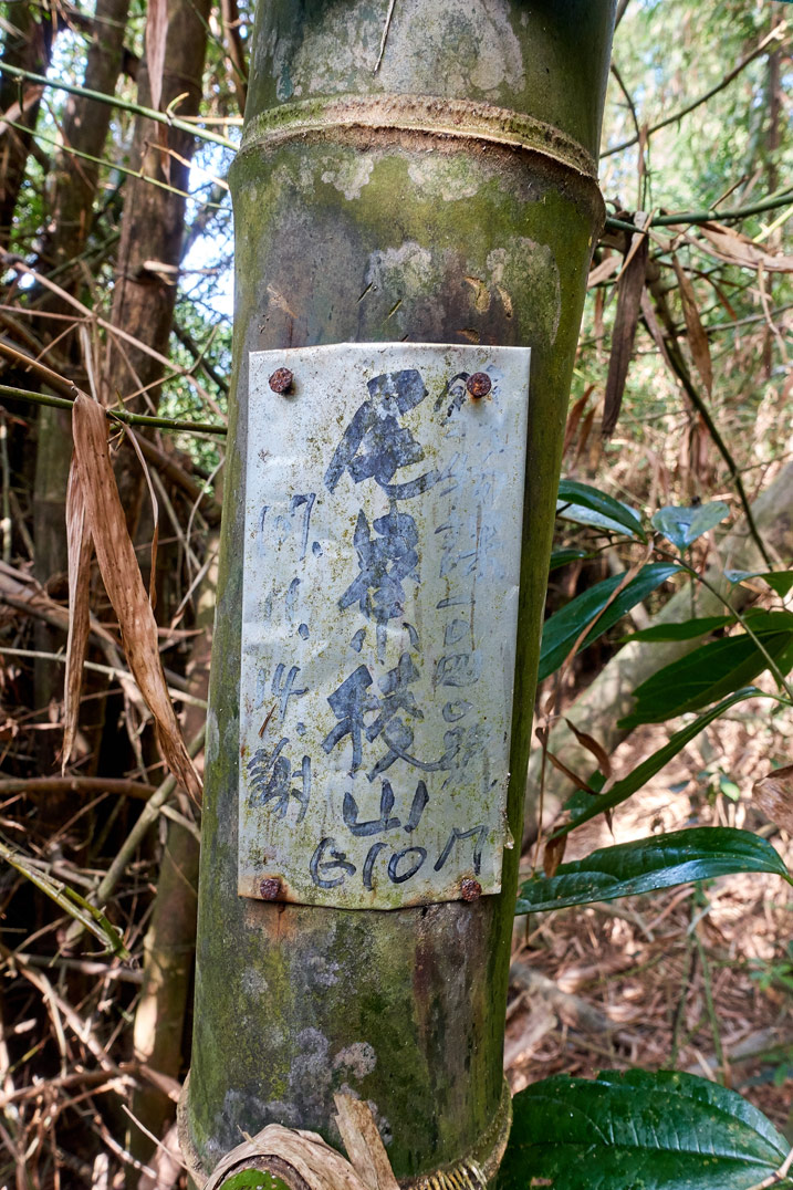 Metal sign attached to a bamboo tree - WeiLiaoShan West peak – 尾寮山西峰