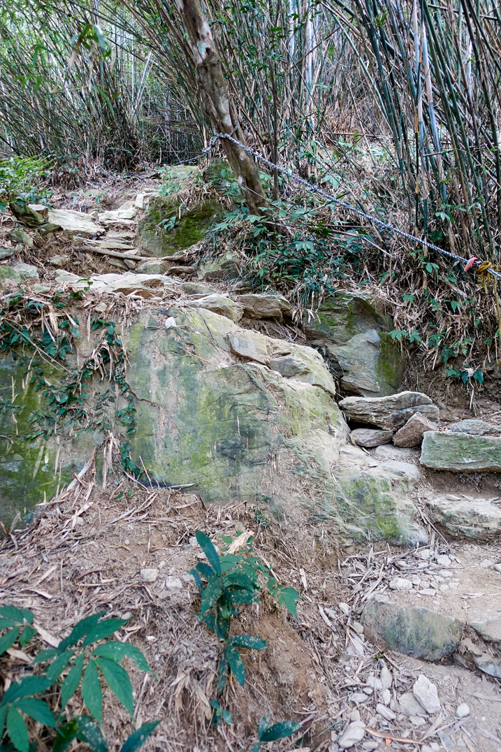 Rocky trail up a mountain - bamboo trees on either side - WeiLiaoShan Hike – 尾寮山