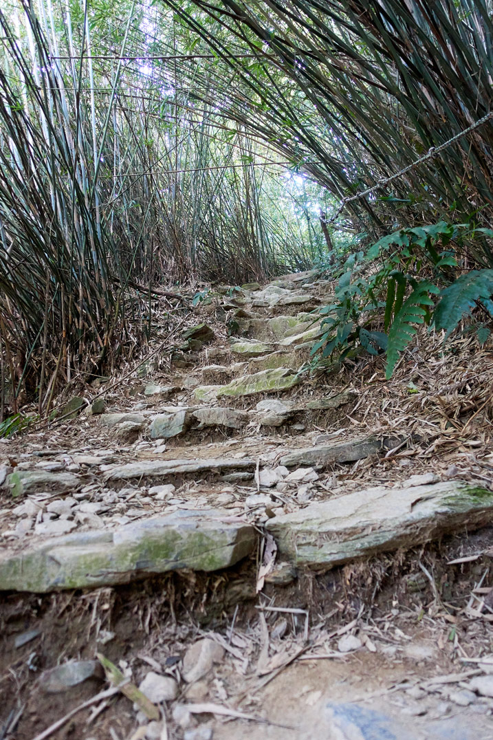 Rocky trail up a mountain - bamboo trees on either side - WeiLiaoShan Hike – 尾寮山